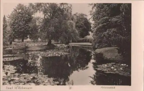 Bad Wildungen - Seerosenteich - ca. 1955