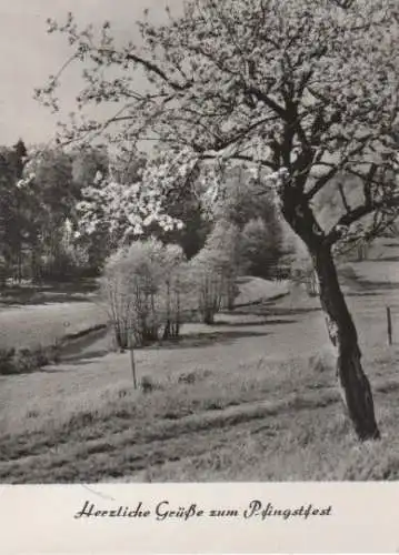 Grüße zum Pfingstfest - ca. 1975