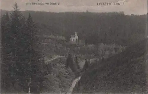 Finsterbergen - Blick ins Leinatal mit Waldburg - ca. 1935