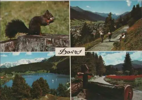 Schweiz - Schweiz - Davos - u.a. am Davosersee - 1973