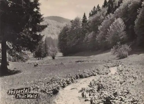 Vessertal - Thüringer Wald