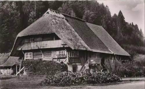 Schwarzwald - Schwarzwaldhaus