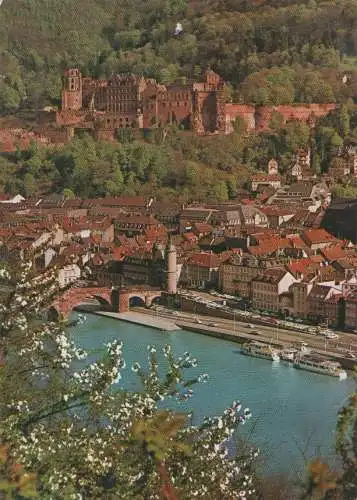 Heidelberg - im Frühling - ca. 1990