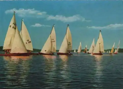 Ammersee - Segelregatta - 1965