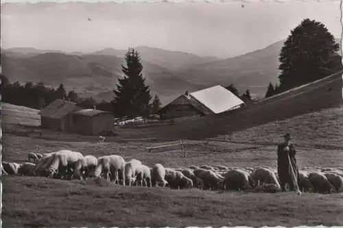 Schönau - Berghotel Wiedener Eck