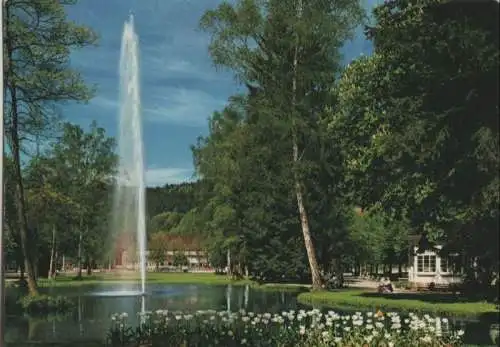 Bad Liebenzell - Fontäne im Kurpark - 1971