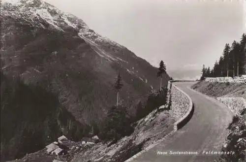 Schweiz - Sustenpass - Schweiz - Feldmoosalp