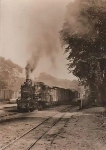 Göhren - Schmalspurbahn, abfahrbereiter Personenzug - 1977