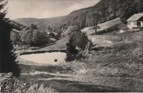 Frauenwald - Blick zur Fraubachmühle - 1969