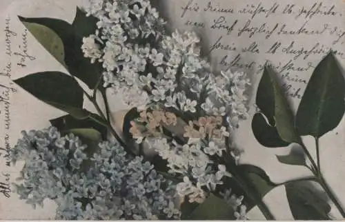 Blüten und Blätter