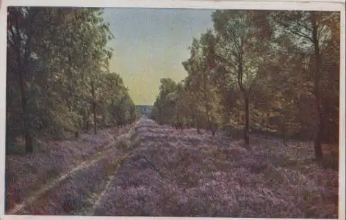 Heide und Wald - ca. 1960