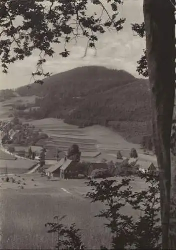 Zittauer Gebirge - Blick nach der Lausche