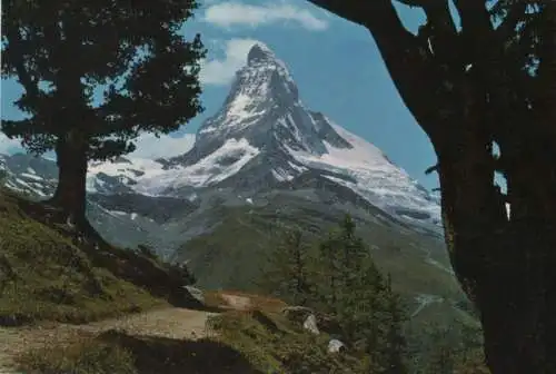 Schweiz - Schweiz - Zermatt - Bergarven auf Riffelalp - 1969