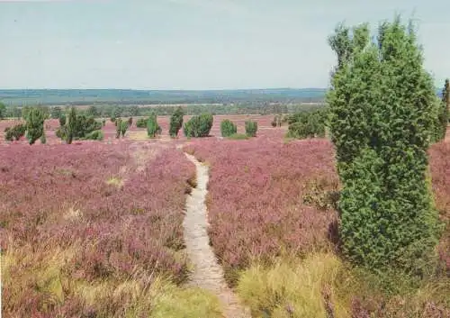 Lüneburger Heide - ca. 1985