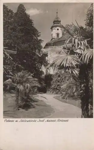 Mainau - Palmen und Schlosskirche