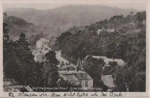 Bad Freienwalde - Blick ins Brunnenthal - ca. 1940