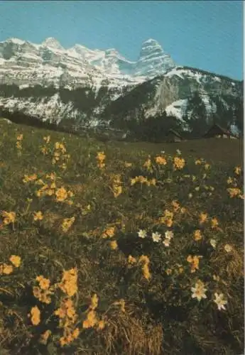 Schweiz - Schweiz - Engelberg - Die Wallenstöcke - ca. 1980