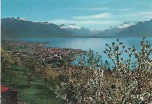 Schweiz - Schweiz - Vevey und Alpen - ca. 1980