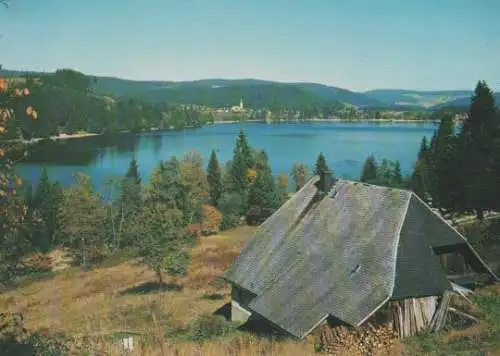 Titisee mit Seehäusle - ca. 1975