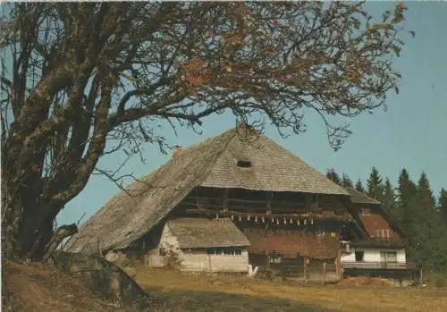 Triberg - Haus im Umland