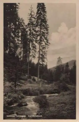 Thüringen - Der Waldbach - 1957