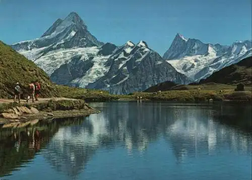 Schweiz - Bachalpsee - Schweiz - Schreckhorn - Finsteraarhorm