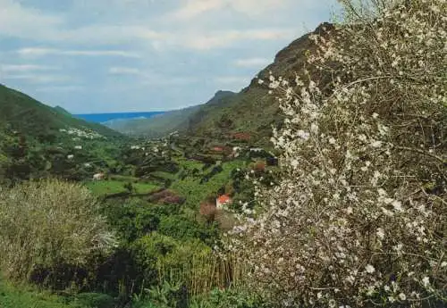 Spanien - Gran Canaria - Spanien - Valle de Agaete