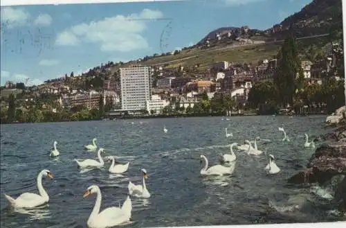 Schweiz - Montreux - Schweiz - La baie