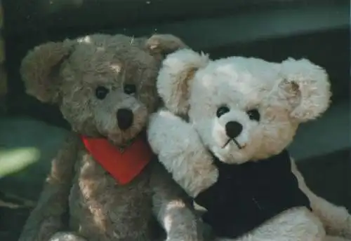 heller und dunkler Teddybär - 2004