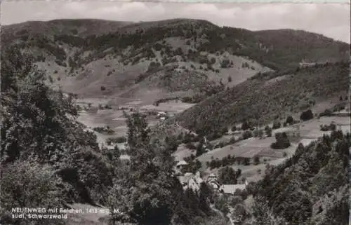 Neuenweg - mit Belchen - 1960