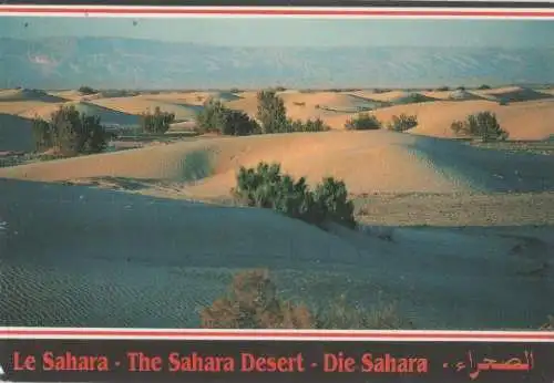 Tunesien - Tunesien - Sahara - 1995