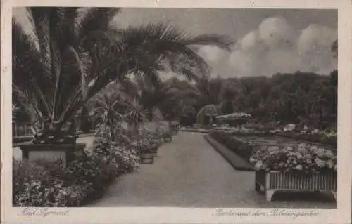 Bad Pyrmont - Partie aus dem Palmengarten - 1927