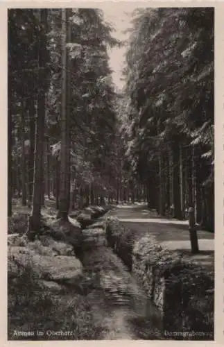 Altenau - Dammgrabenweg - ca. 1955