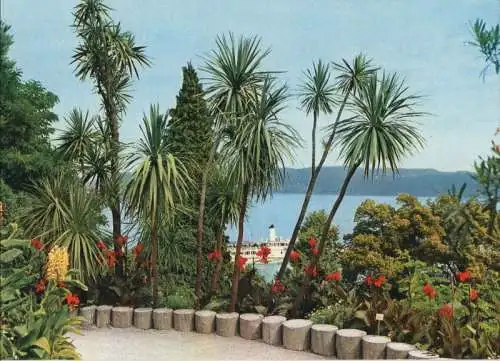 Mainau - Palmengruppe