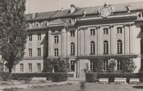 Greifswald - Universität - ca. 1965