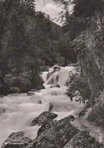 Ramsau - Im Zauberwald - ca. 1965