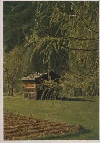 Hütte im Wald - ca. 1960