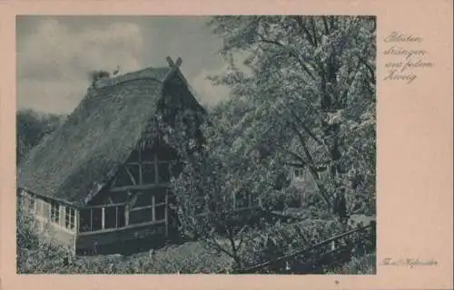 Blüten drängen aus jedem Zweig - ca. 1950