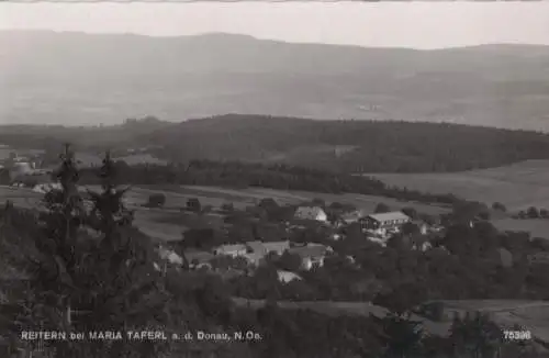 Österreich - Österreich - Reitern - ca. 1955