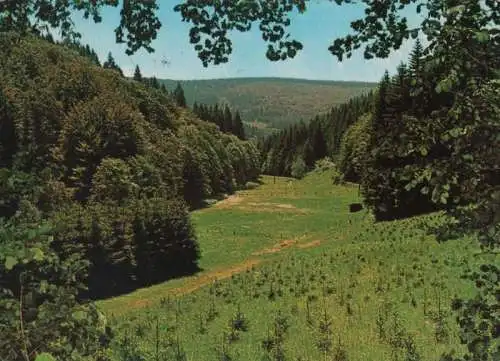 Sauerland - 1979