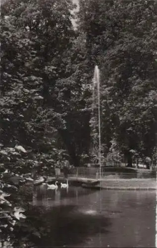 Offenburg - Schwanenteich in Zwinger-Anlagen - 1961