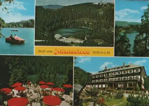 Mummelsee - Berghotel - 1981