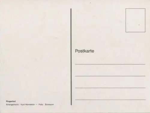 Fingerhut Arrangement