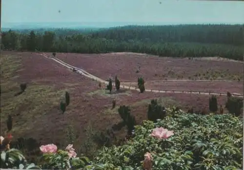 Lüneburger Heide - Totengrund - ca. 1980