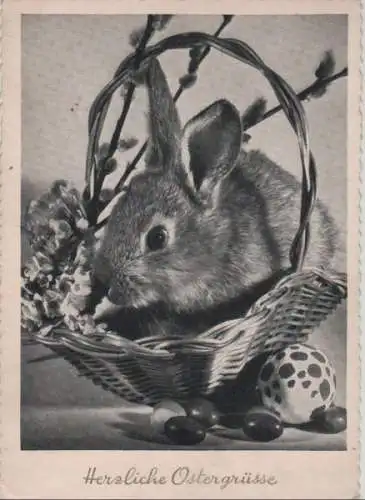 Herzliche Ostergrüße Hase