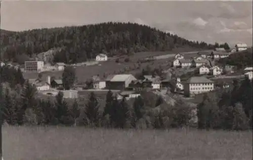 Bischofsmais-Hochbruck - Pension Talblick - 1965