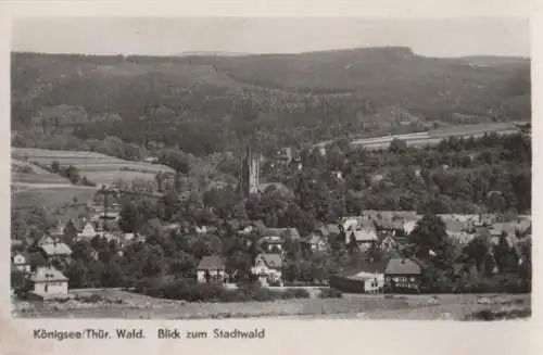 Königsee Thür. - Stadtwald - ca. 1955