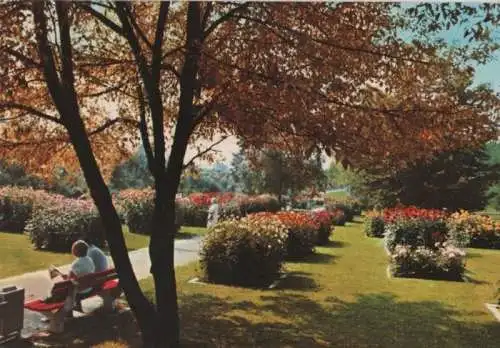 Bad Krozingen - Im Kurpark - ca. 1980