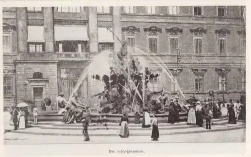 unbekannter Ort - Schlossbrunnen [FOTOO keine Ak]