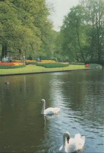 Niederlande - Niederlande - Lisse - Keukenhof - ca. 1980